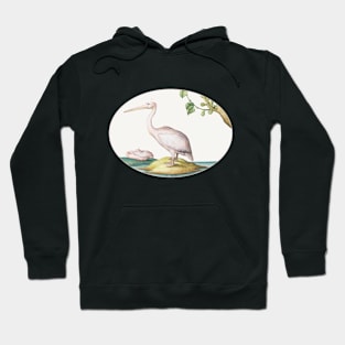 Two White Pelicans with a Sycamore Fig (1575–1580) Hoodie